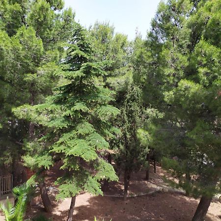 Terra Bianca Bed and Breakfast Trani Δωμάτιο φωτογραφία