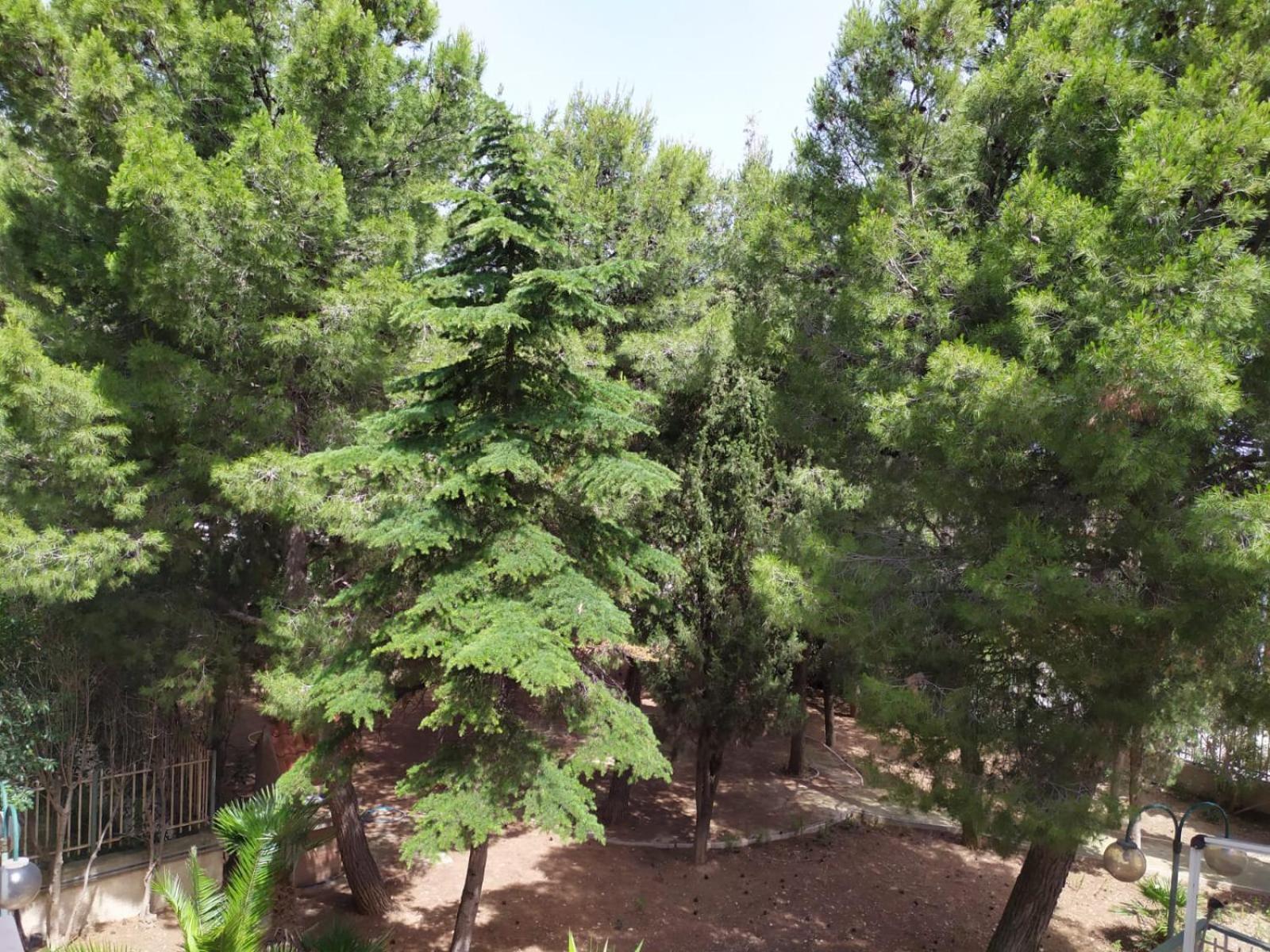Terra Bianca Bed and Breakfast Trani Δωμάτιο φωτογραφία